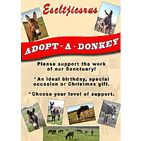 Eseltjiesrus Donkey Sanctuary image